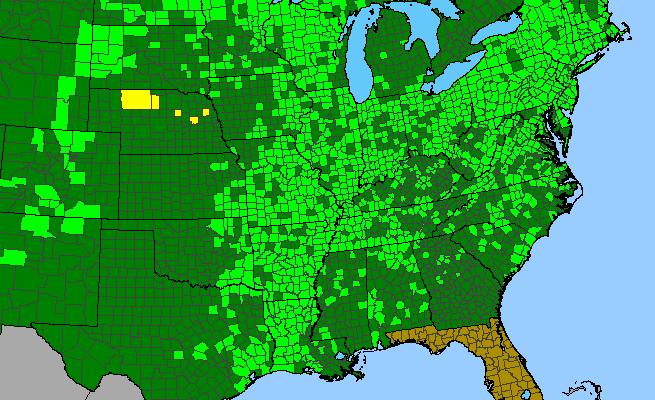 The range of Gratiola neglecta